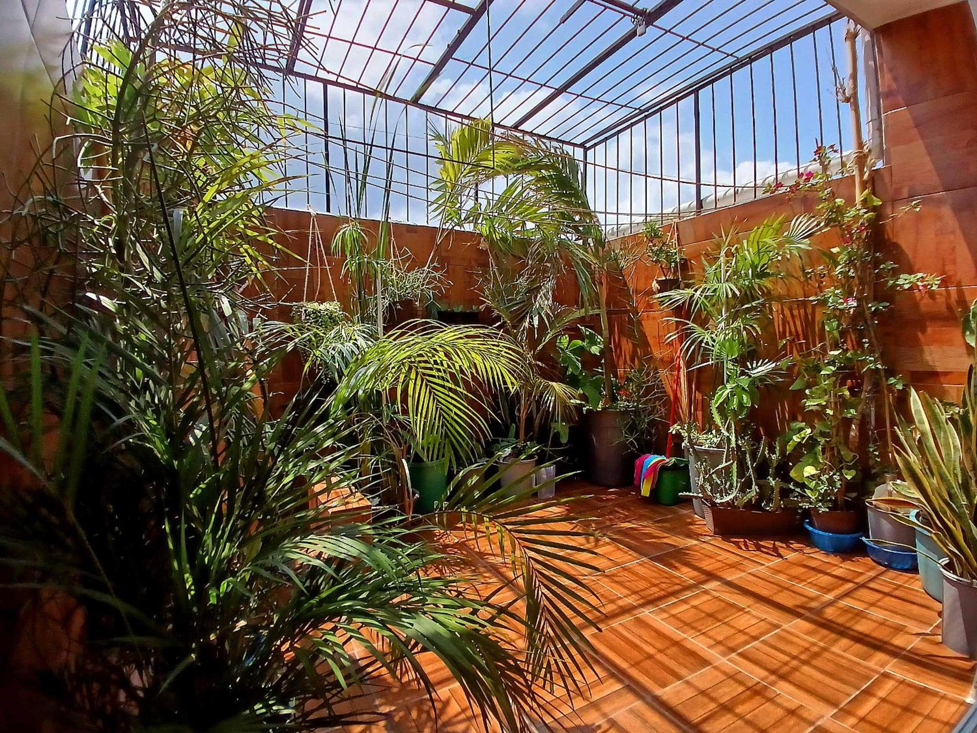 Villa Casa Del Chef Lupita Campeche Esterno foto